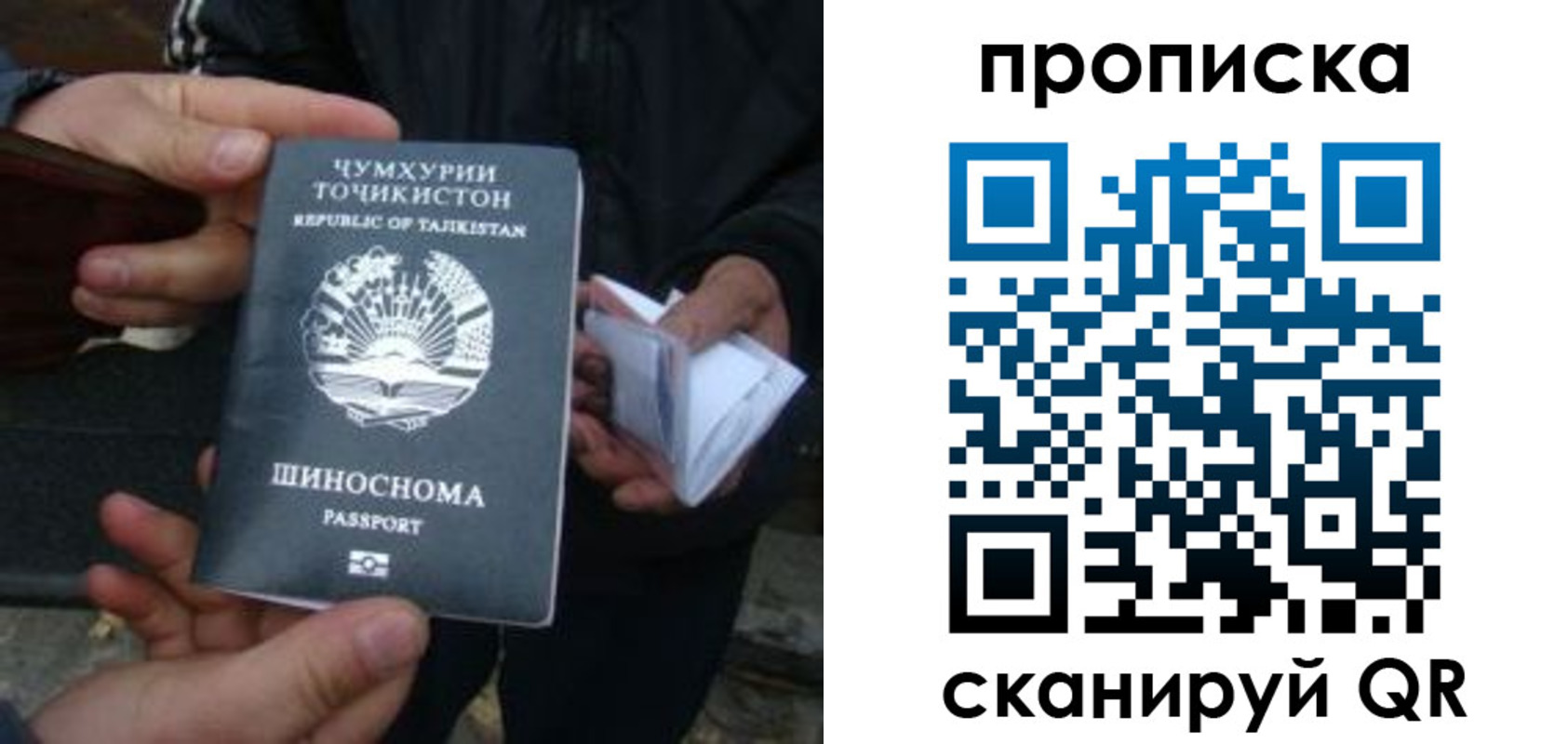купить прописку в Мурино